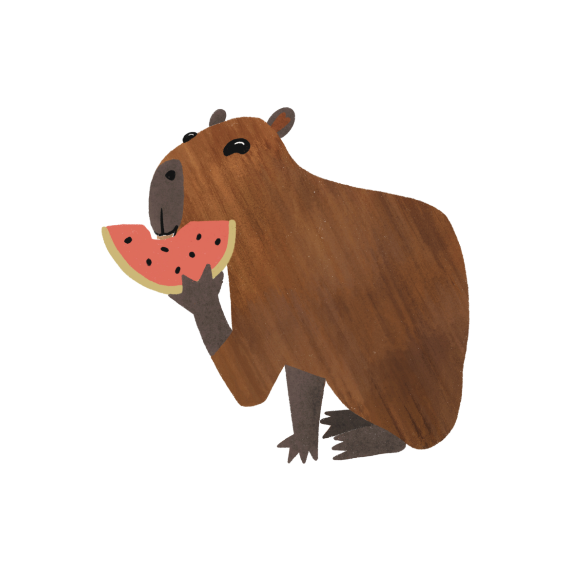 a friendly-looking capybara eating a watermelon slice